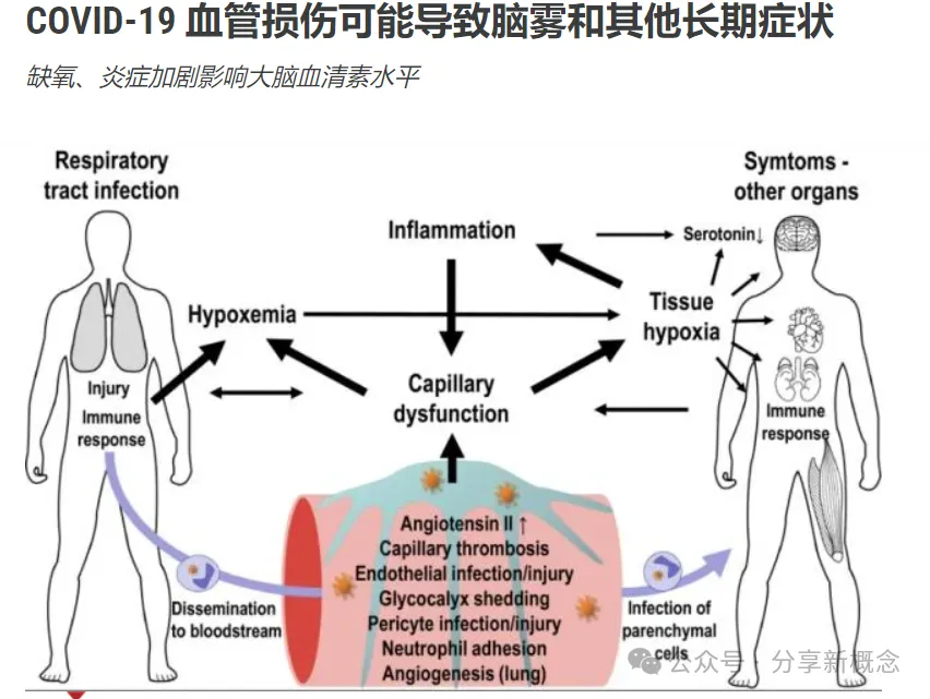 重复感染新冠后,确实让我们变得越来越笨