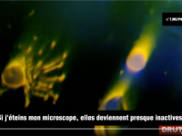 疫苗族血液里的奇怪“活物”到底是什么?